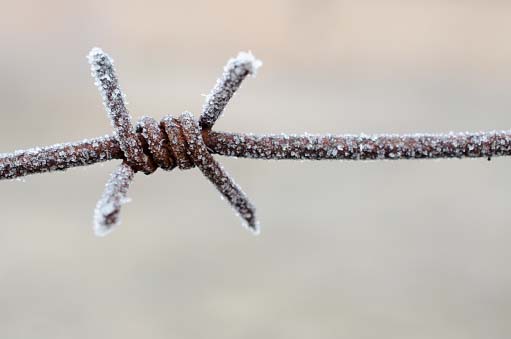 Heidlberger – Der Weg in die Unfreiheit. Trump und Putin